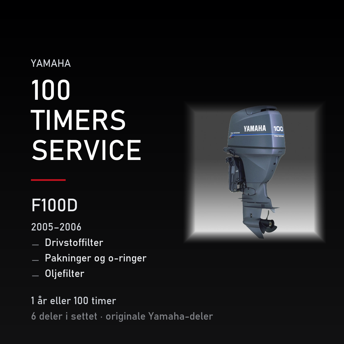 Yamaha F100D – Yamaha F100D (2005–2006) – 100-timers service