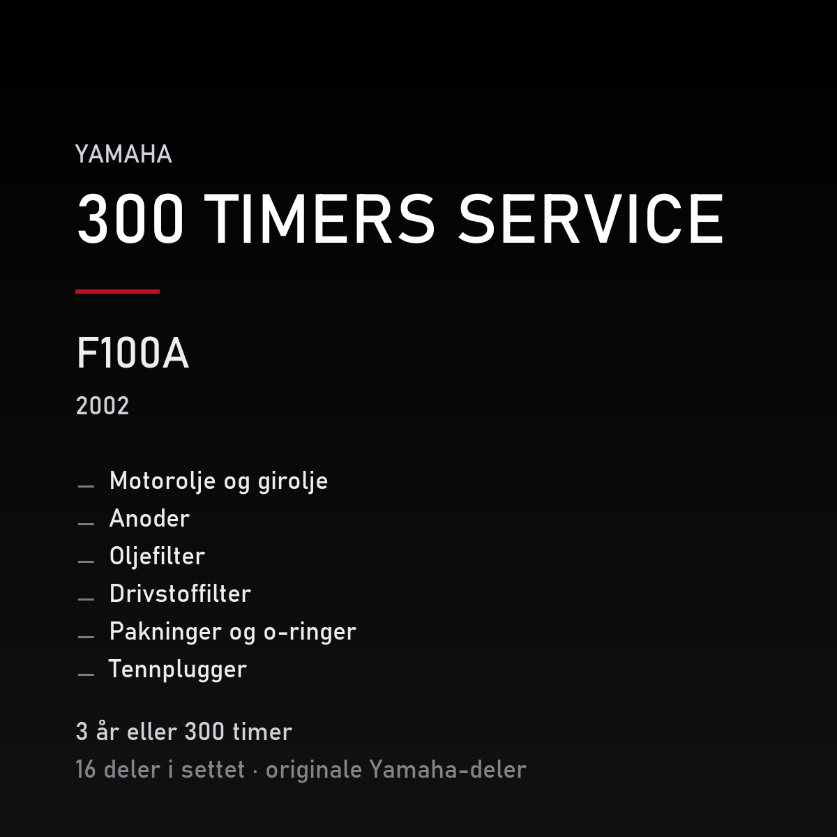 Yamaha F100A (2002) – 300 timers service – innhold i settet