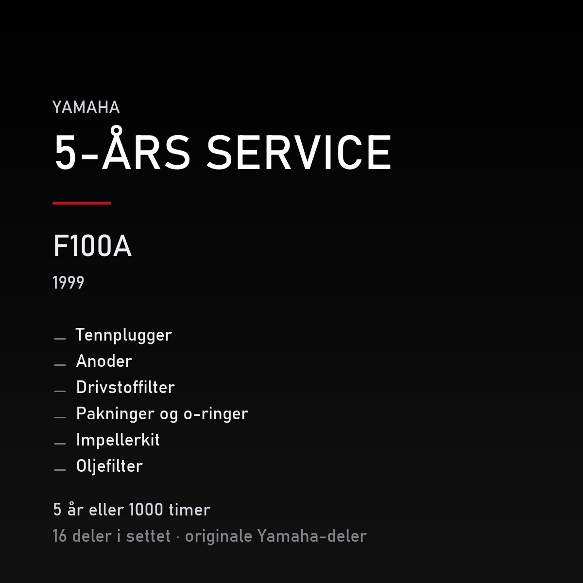 Yamaha F100A (1999) – 5-års service – innhold i settet