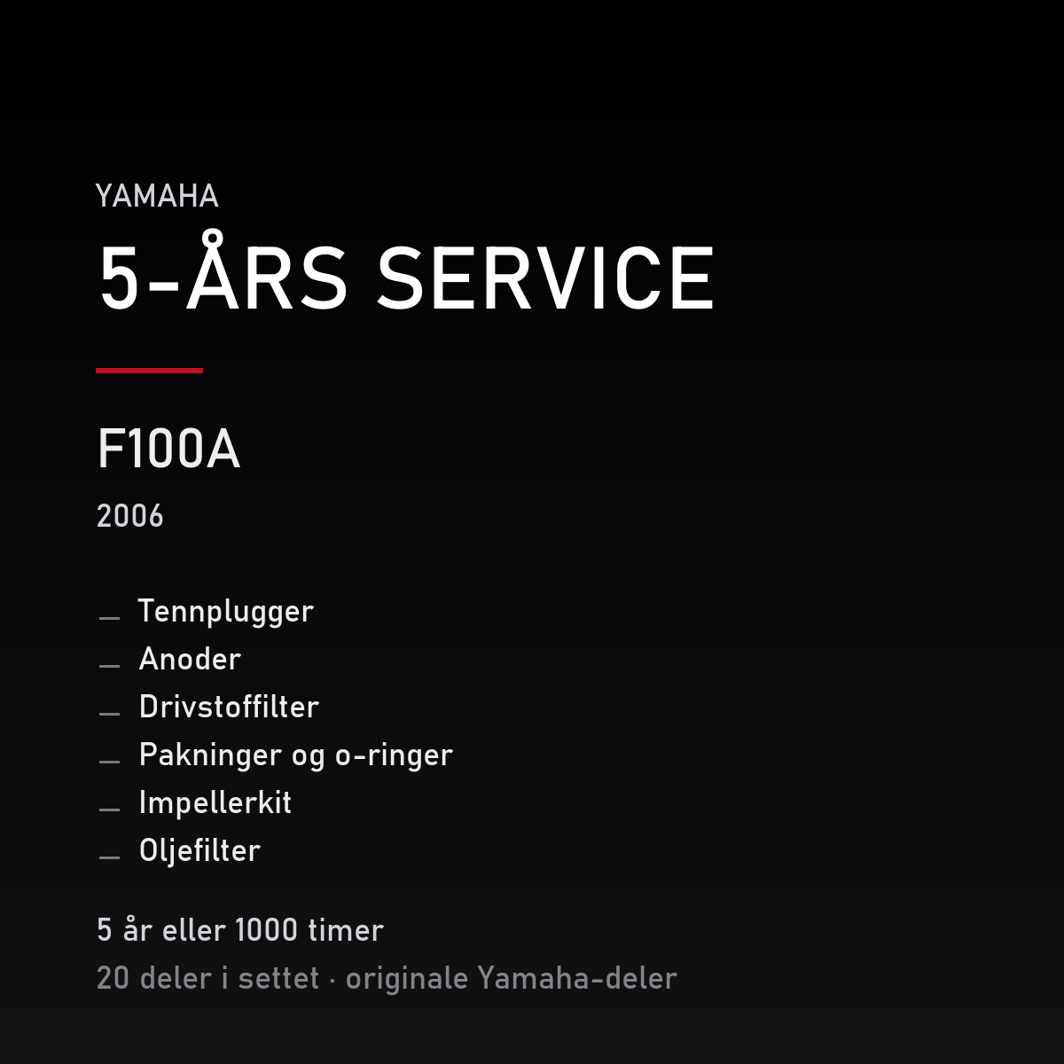 Yamaha F100A (2006) – 5-års service – innhold i settet