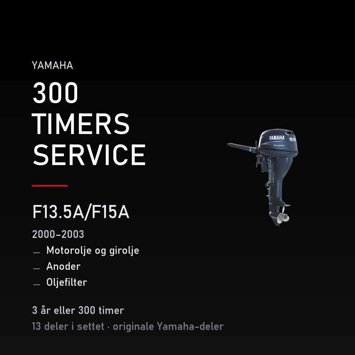 Yamaha F13-5A – Yamaha F13.5A/F15A (2000–2003) – 300 timers service