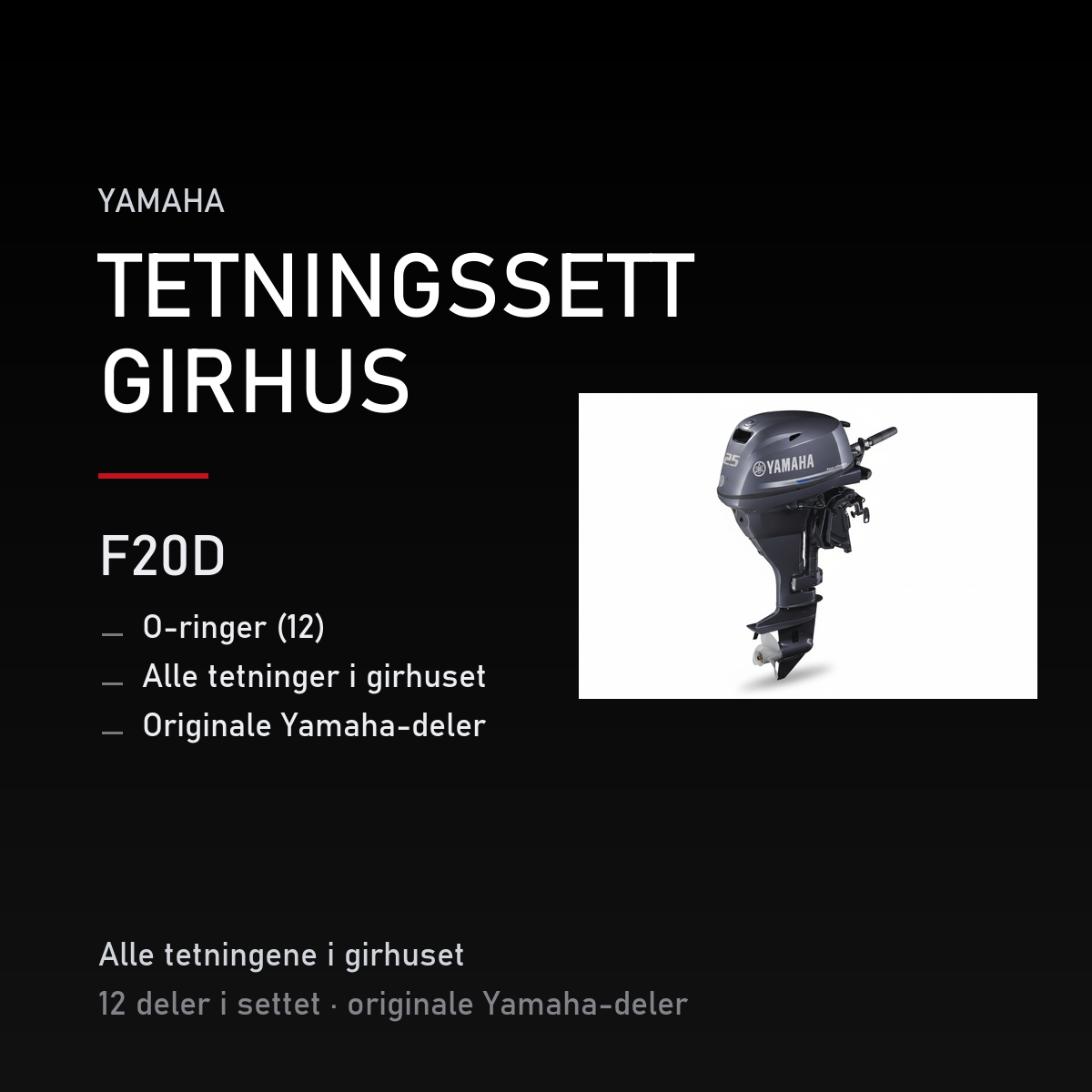 Yamaha F20D – Yamaha F20D – tetningssett girhus