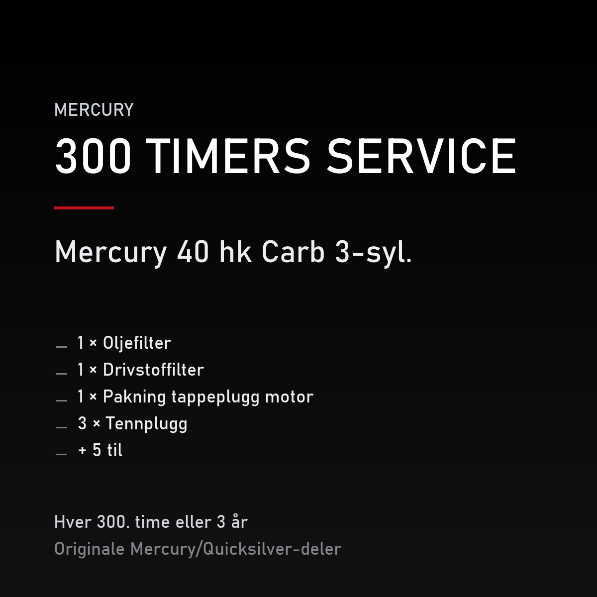 Mercury servicekit 300 timer – 40 hk Carb 3-syl. – servicekit