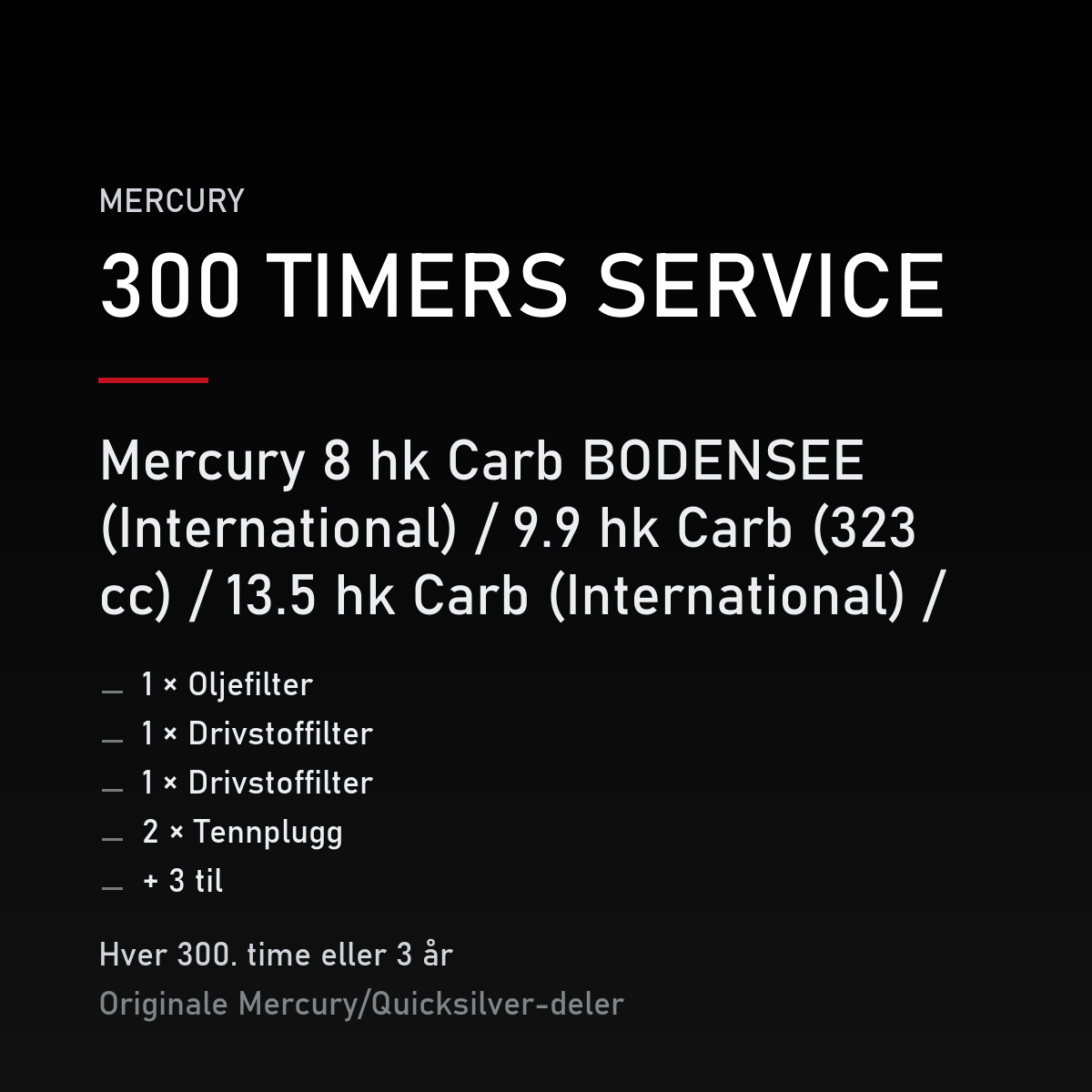 Mercury servicekit 300 timer – 8 hk Carb BODENSEE (International) / 9.9 hk Carb (323 cc) / – servicekit