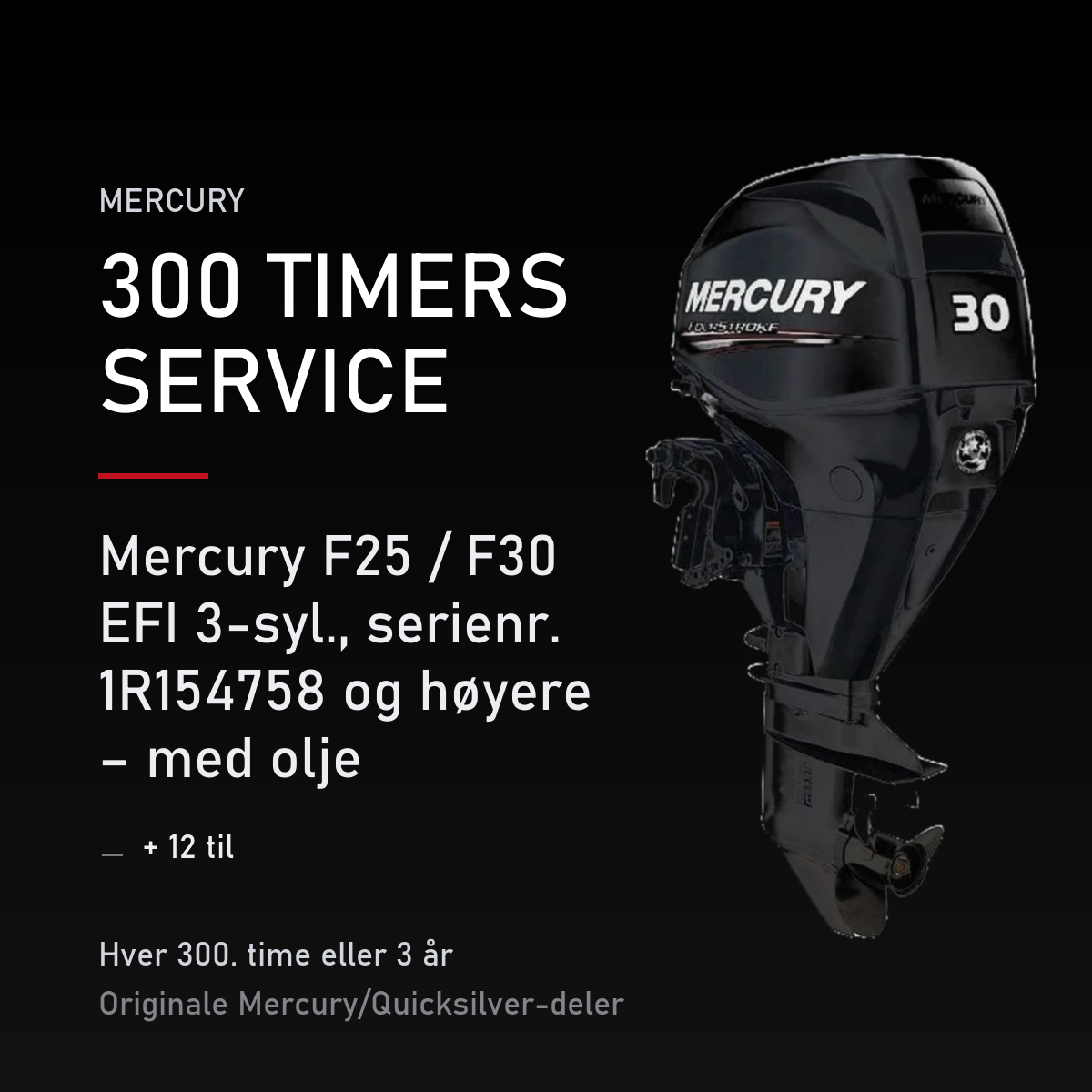 Mercury servicekit 300 timer 8M0220189 – F25 / F30 EFI 3-syl., serienr. 1R154758 og høyere – servicekit