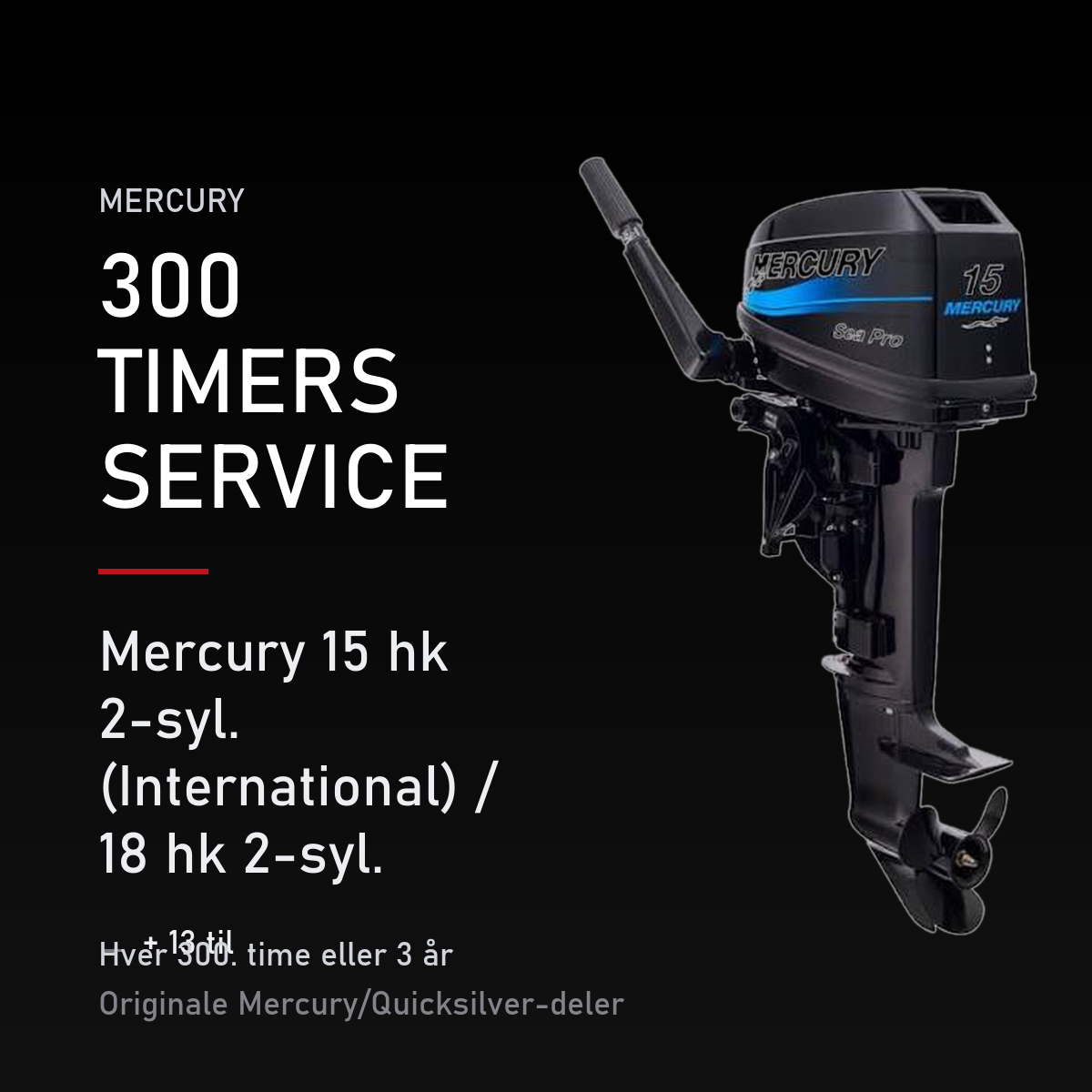 Mercury 2-takt servicekit 300 timer – 15 hk 2-syl. (International) / 18 hk 2-syl. (Interna – servicekit