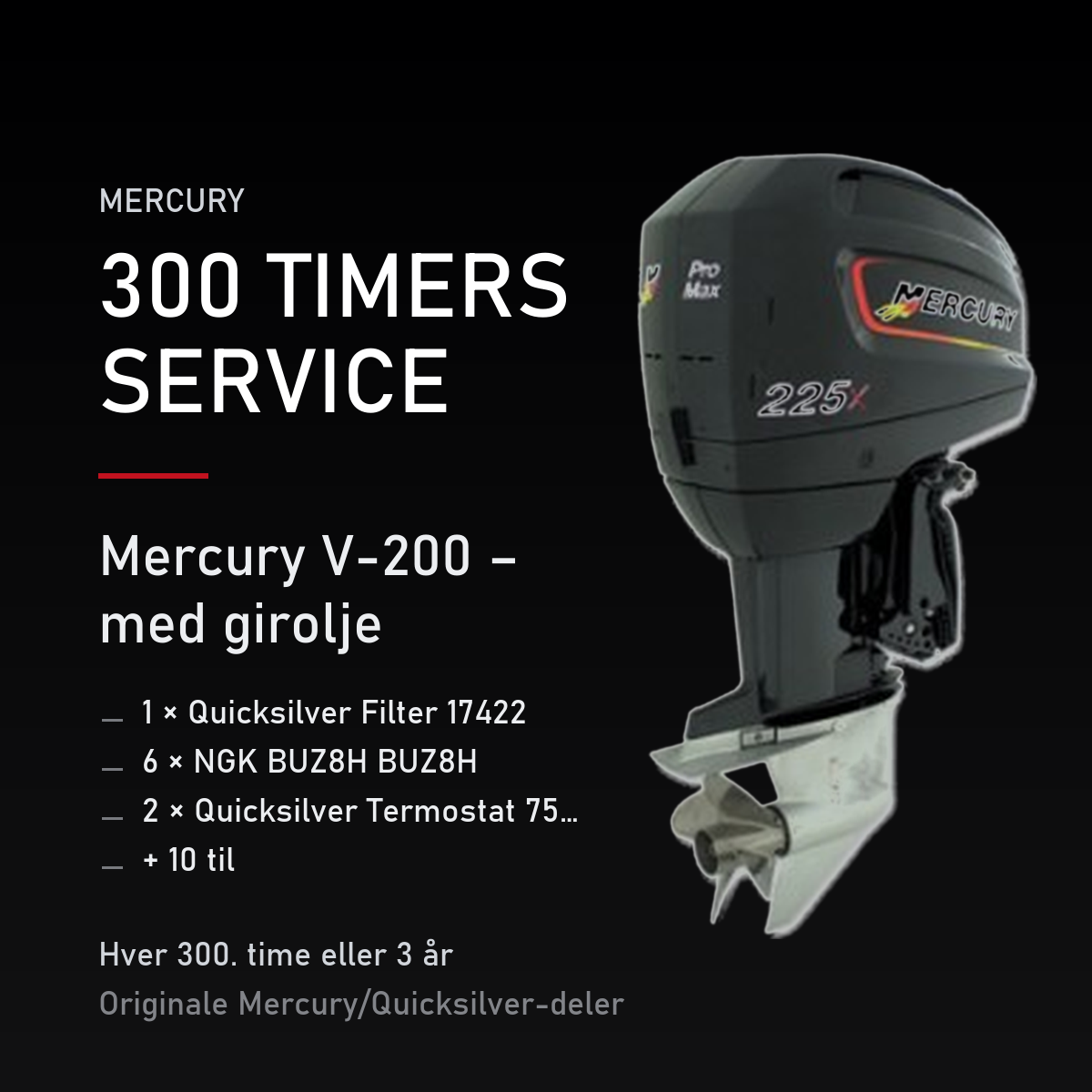 Mercury 2-takt servicekit 300 timer – V-200 – med girolje – servicekit