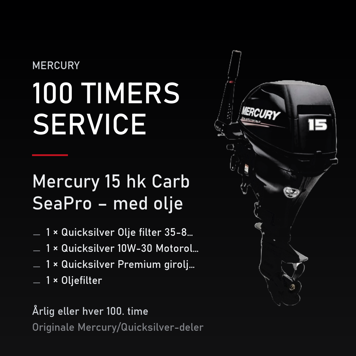 Mercury servicekit 100 timer – 15 hk Carb SeaPro – med olje – servicekit