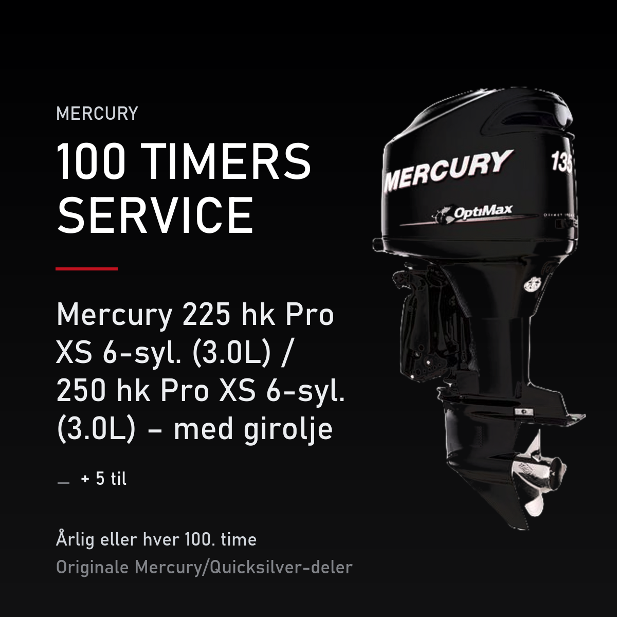 Mercury Optimax servicekit 100 timer – 225 hk Pro XS 6-syl. (3.0L) / 250 hk Pro XS 6-syl. – servicekit