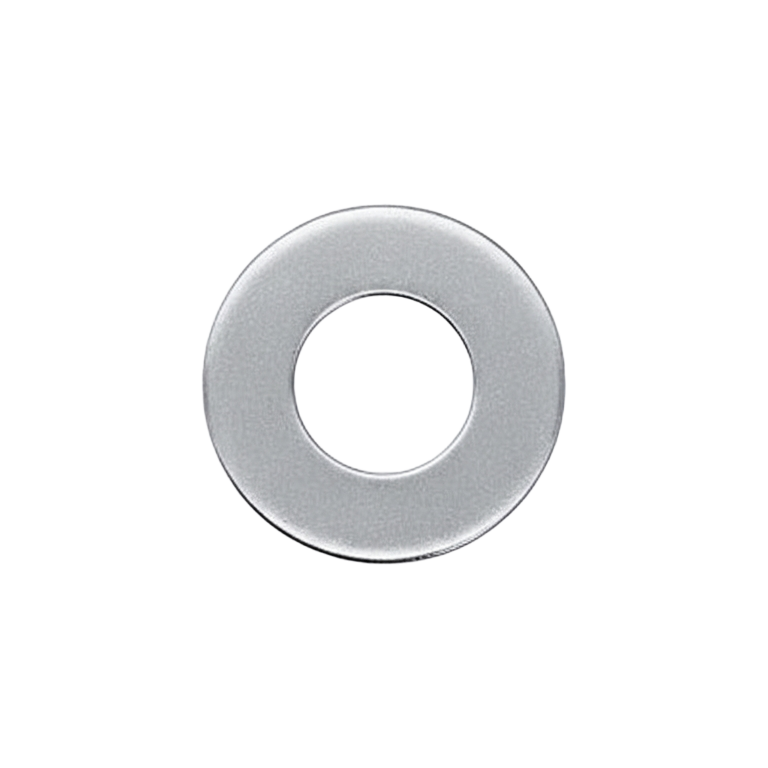 BRP skive 4 mm rustfri (5 stk) 234042600