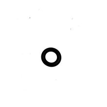 Sea doo O-Ring 420950860