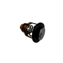 Yamaha Termostat 6CE-12411-00-00