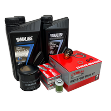 Yamaha F70 300 Timers Kit