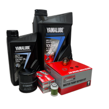 Yamaha F80B (2007 - 2018) 300 Timers Kit