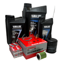 Yamaha F150 (2006 - Nåværende) 300 Timers Kit