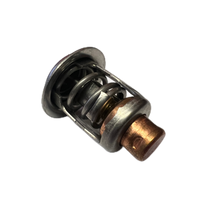 Quicksilver Termostat 833072003