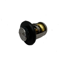 Quicksilver Termostat 8M0119207