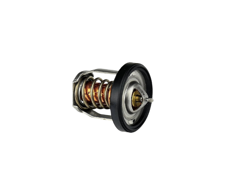 Suzuki Termostat 17670-91J02