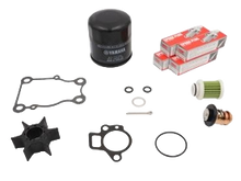 Yamaha 300 Timers kit Uten olje 6AKW006C0000