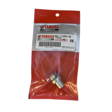 Yamaha Anode 6ML113250000