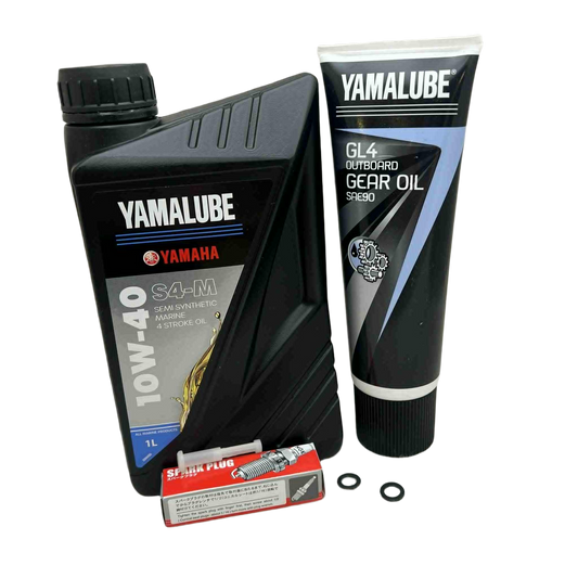 Yamaha F2.5A 2003 - 2015 100 Timers Kit