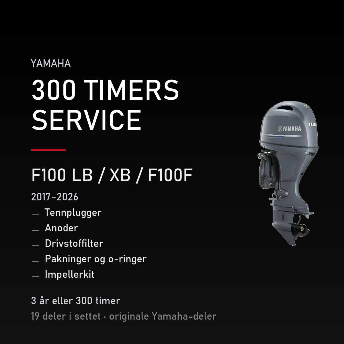 Yamaha F100-LB-XB – Yamaha F100 LB / XB / F100F (2017–2026) – 300-timers service