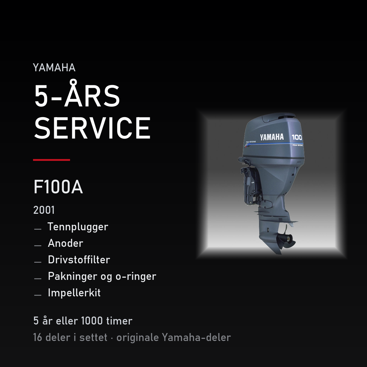 Yamaha F100A – Yamaha F100A (2001) – 5-års service