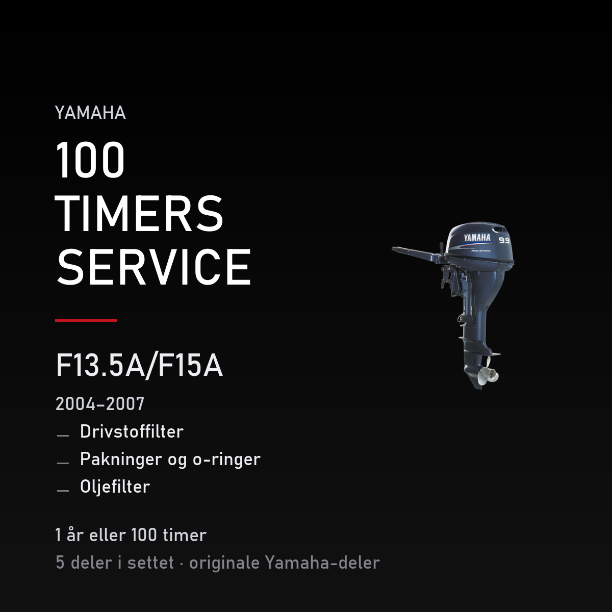 Yamaha F13-5A – Yamaha F13.5A/F15A (2004–2007) – 100 timers service