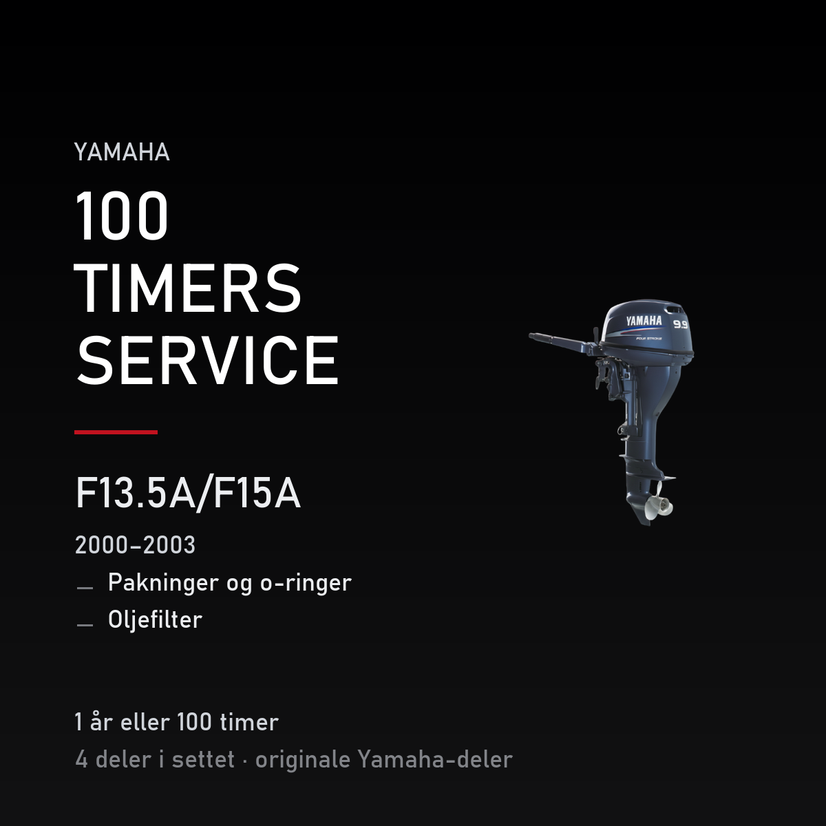 Yamaha F13-5A – Yamaha F13.5A/F15A (2000–2003) – 100 timers service