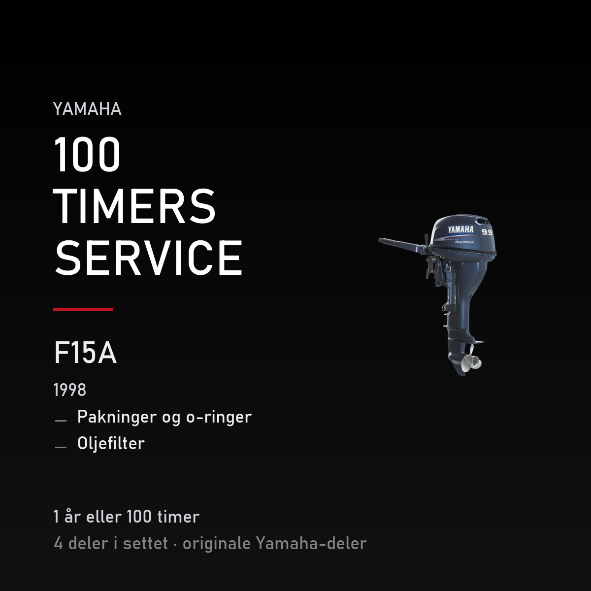 Yamaha F15A – Yamaha F15A (1998) – 100 timers service