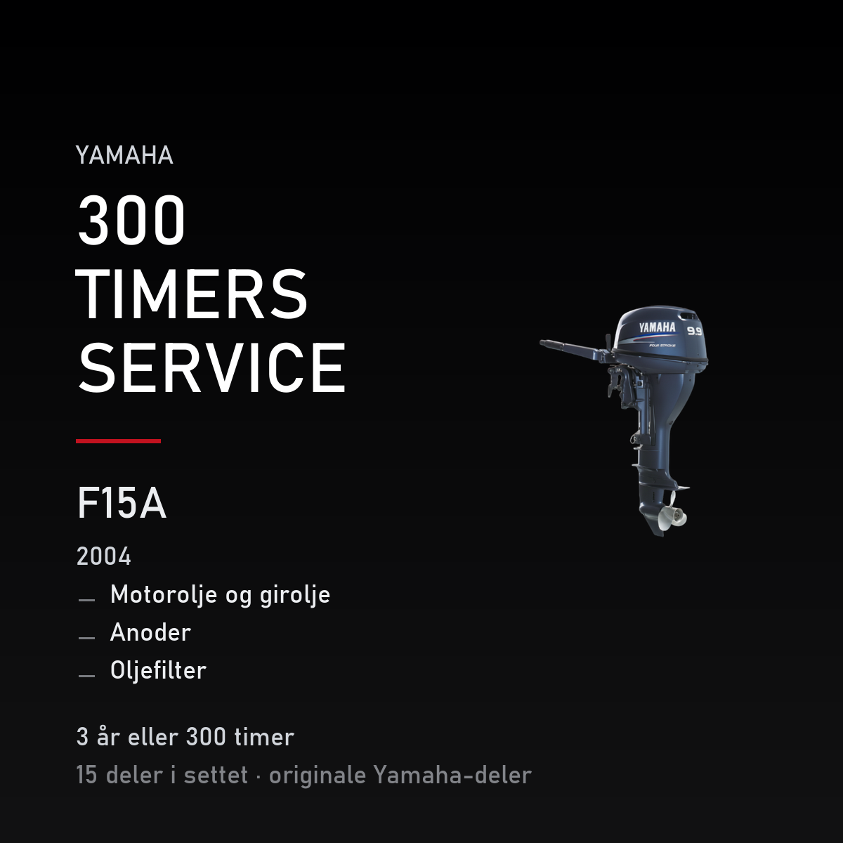 Yamaha F15A – Yamaha F15A (2004) – 300 timers service