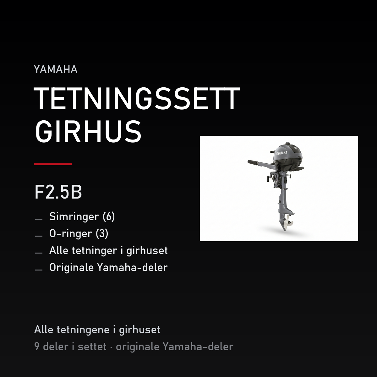 Yamaha F2-5B – Yamaha F2.5B – tetningssett girhus
