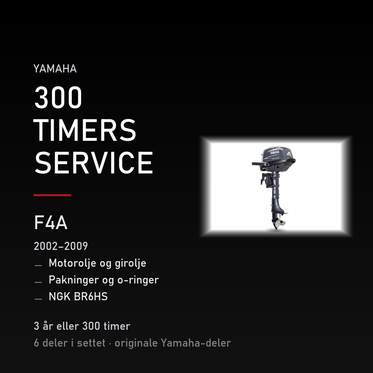 Yamaha F4A – Yamaha F4A (2002–2009) – 300 timers service