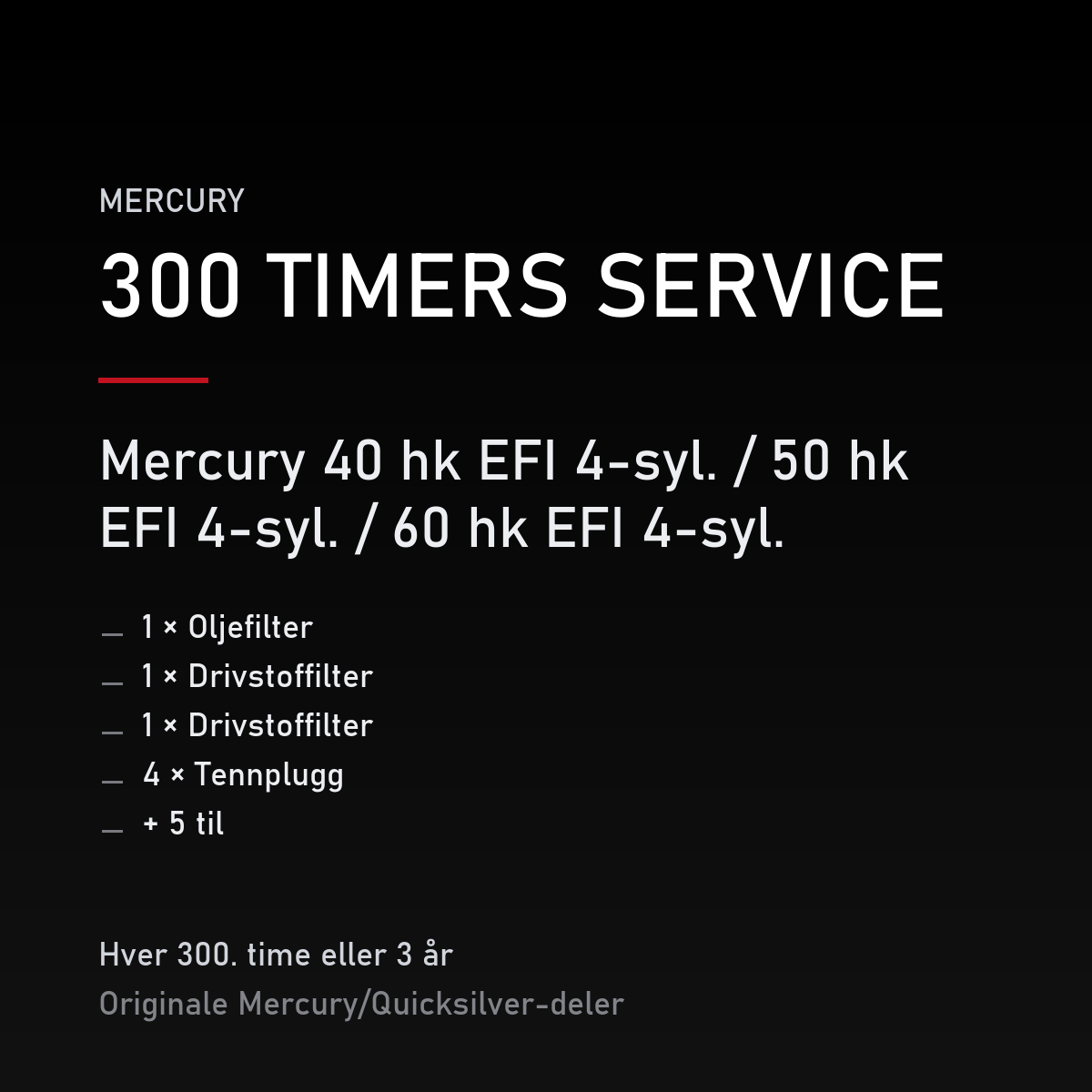 Mercury servicekit 300 timer – 40 hk EFI 4-syl. / 50 hk EFI 4-syl. / 60 hk EFI 4-syl. – servicekit