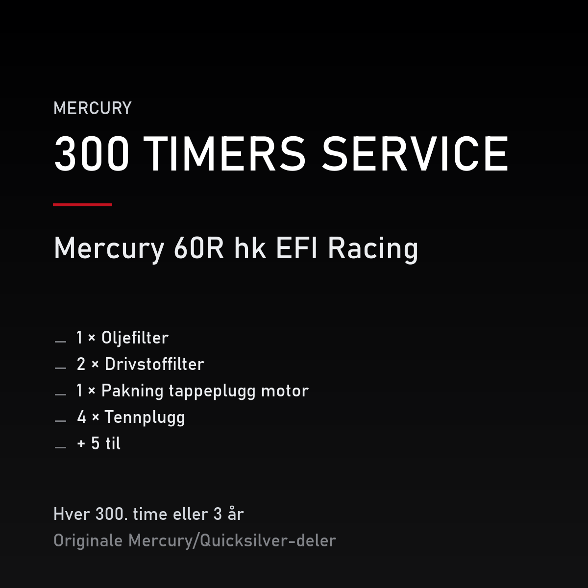 Mercury servicekit 300 timer – 60R hk EFI Racing – servicekit