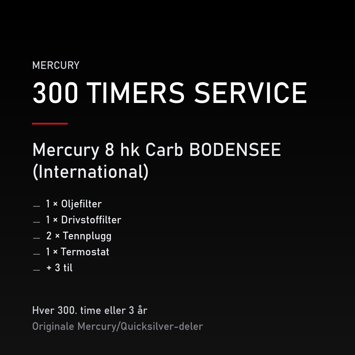 Mercury servicekit 300 timer – 8 hk Carb BODENSEE (International) – servicekit