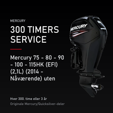 Mecury 75 - 80 - 90 - 100 - 115HK (EFI) (2,1L) (2014 - Nåværende) 300 Timers Kit uten olje – servicekit