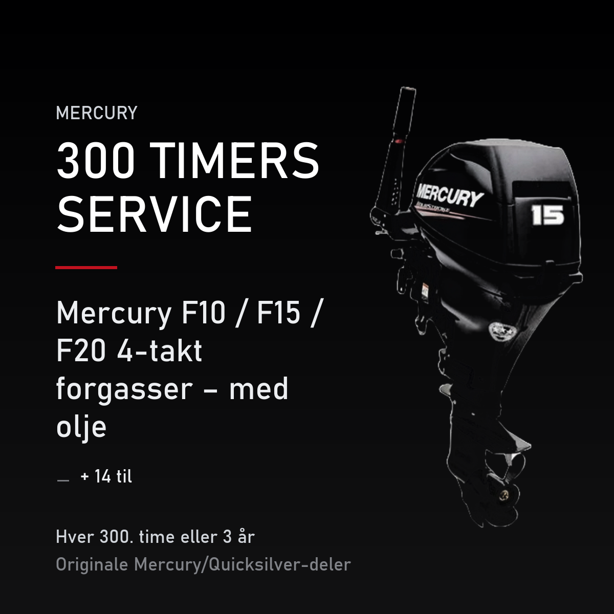 Mercury servicekit 300 timer 8M0120838 – F10 / F15 / F20 4-takt forgasser – med olje – servicekit