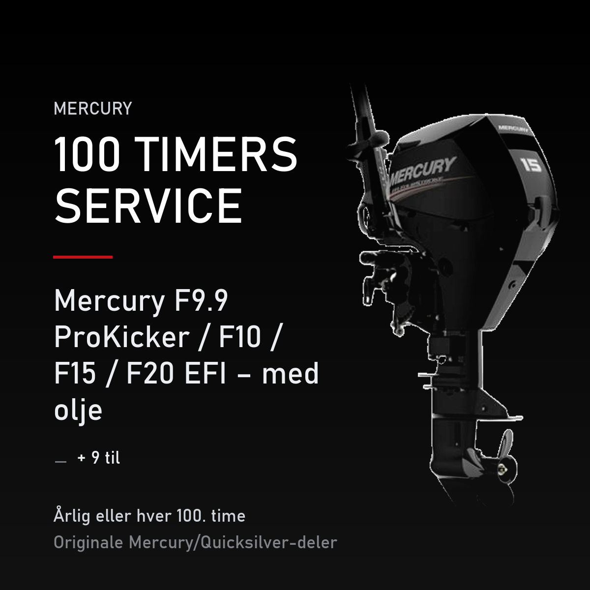 Mercury servicekit 100 timer 8M0151469 – F9.9 ProKicker / F10 / F15 / F20 EFI – med olje – servicekit