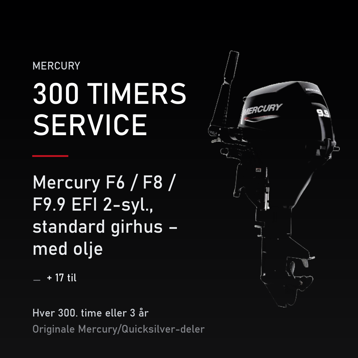Mercury servicekit 300 timer 8M0227353 – F6 / F8 / F9.9 EFI 2-syl., standard girhus – med  – servicekit