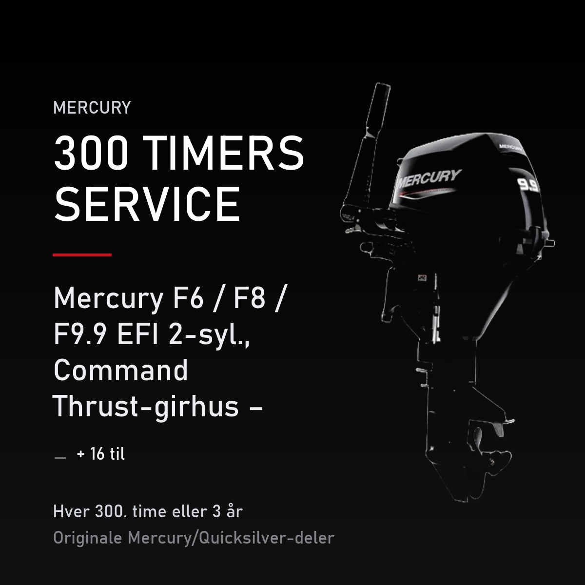 Mercury servicekit 300 timer 8M0227355 – F6 / F8 / F9.9 EFI 2-syl., Command Thrust-girhus  – servicekit
