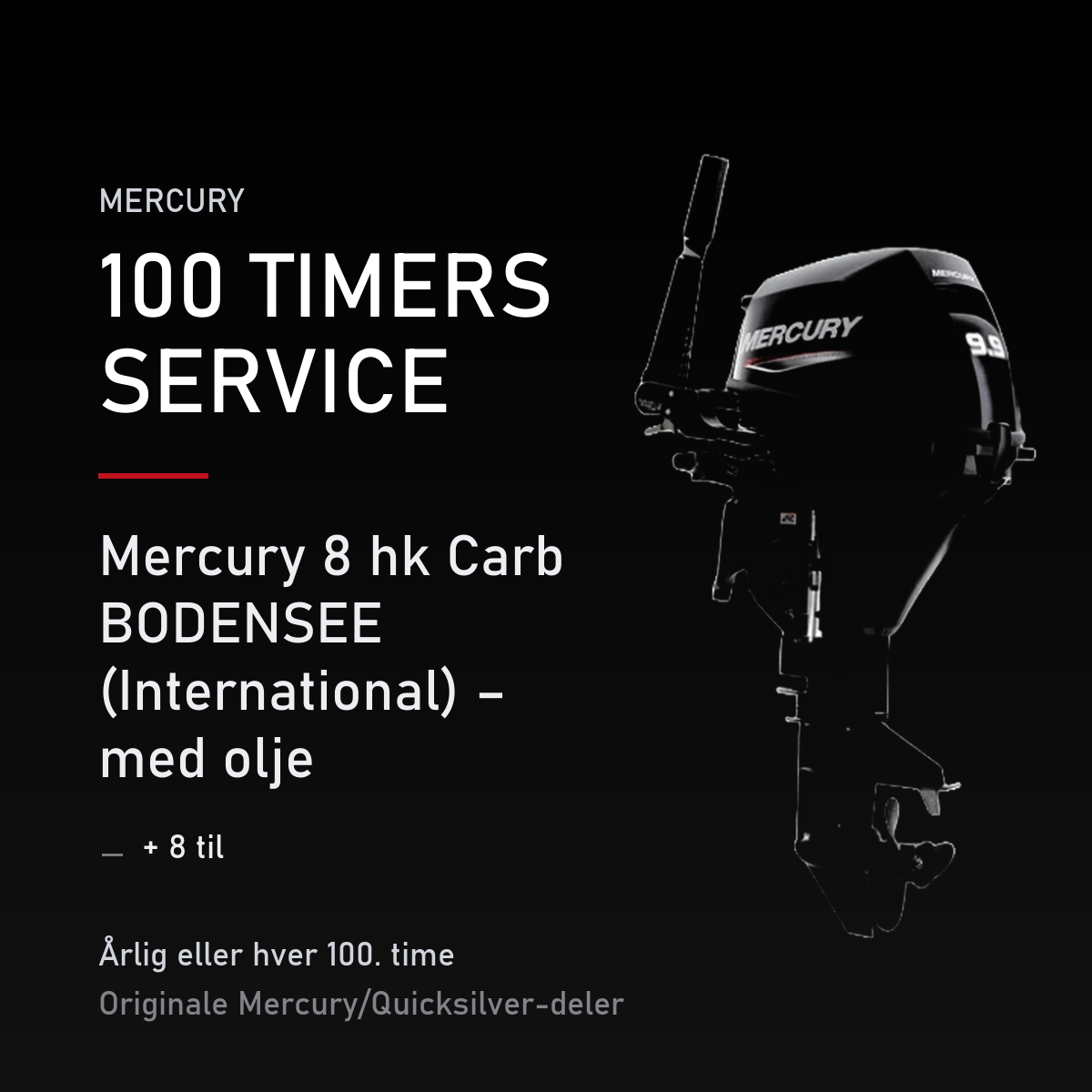 Mercury servicekit 100 timer – 8 hk Carb BODENSEE (International) – med olje – servicekit