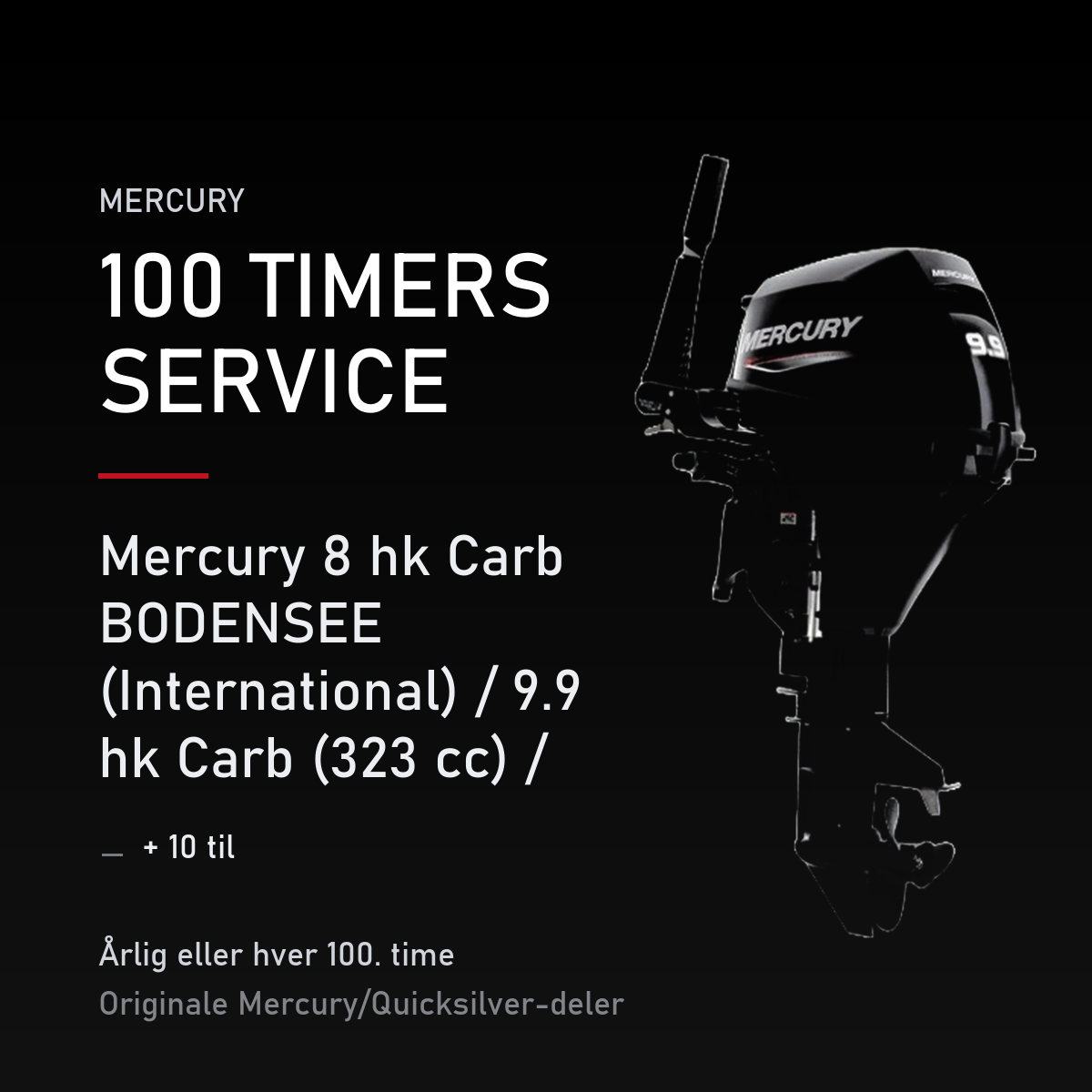 Mercury servicekit 100 timer – 8 hk Carb BODENSEE (International) / 9.9 hk Carb (323 cc) / – servicekit