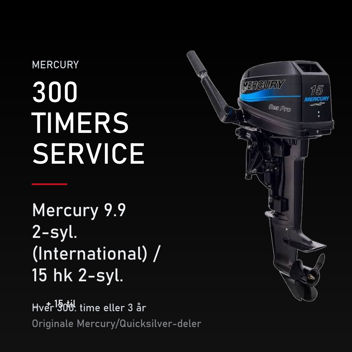 Mercury 2-takt servicekit 300 timer – 9.9 2-syl. (International) / 15 hk 2-syl. (Internati – servicekit