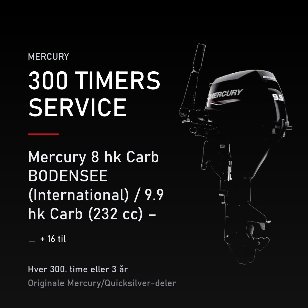 Mercury servicekit 300 timer – 8 hk Carb BODENSEE (International) / 9.9 hk Carb (232 cc) – – servicekit
