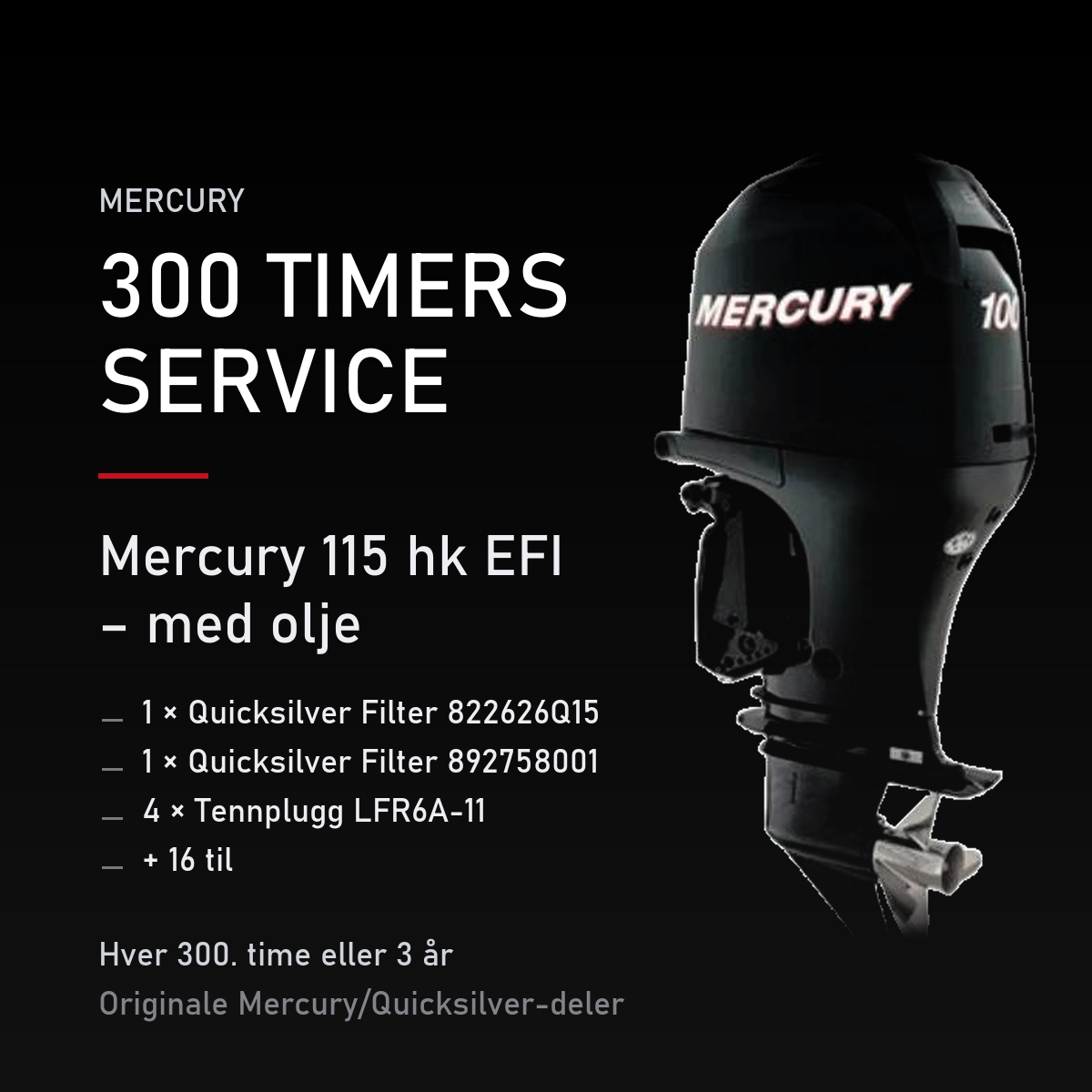 Mercury servicekit 300 timer – 115 hk EFI – med olje – servicekit