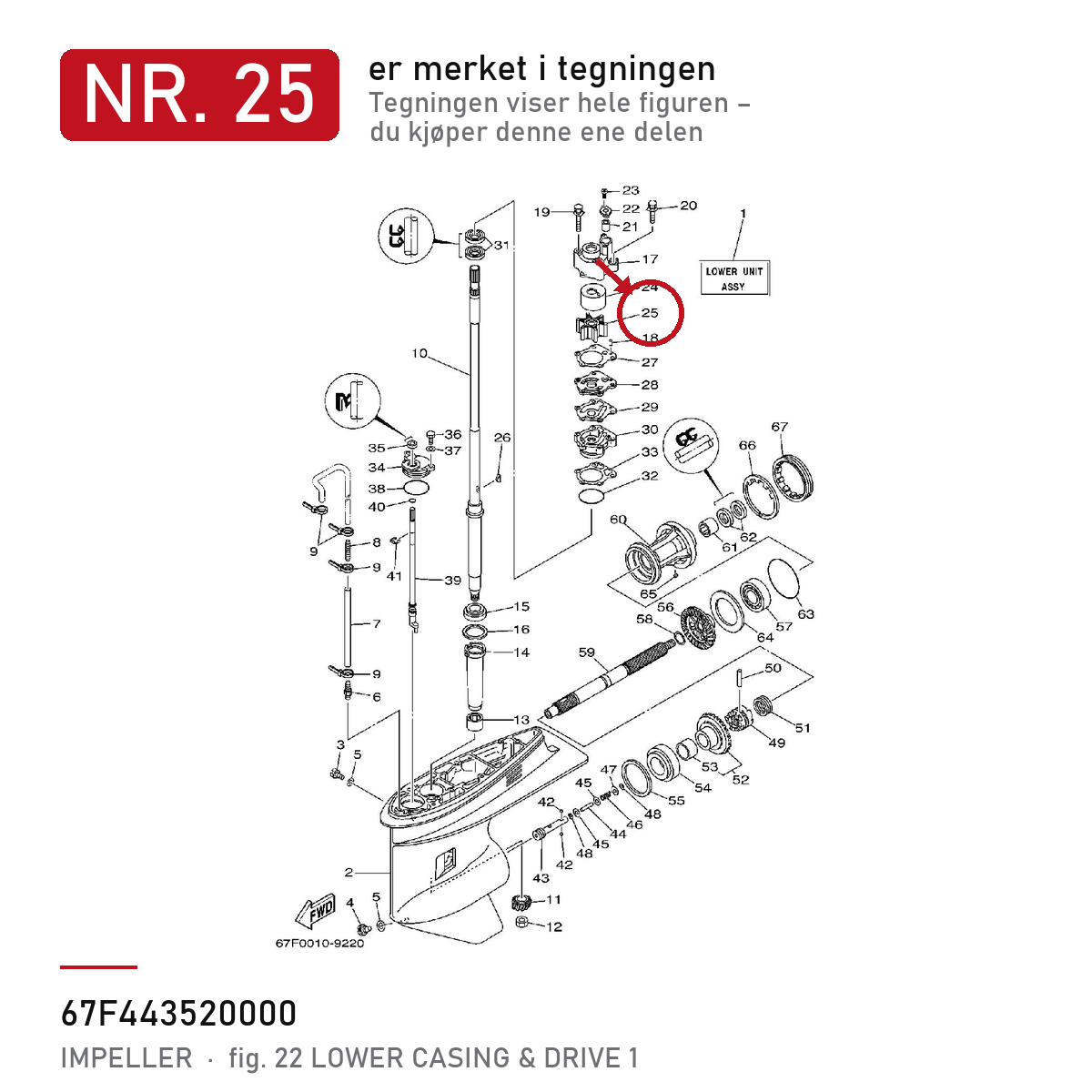 Yamaha Impeller 67F-44352-00 – nr. 25 i tegningen fra produsentens delekatalog