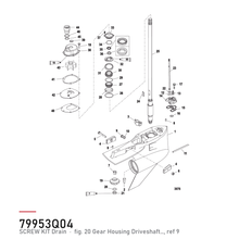Quicksilver tappeskrue med pakning 10-79953Q04 – hvor delen sitter, tegning fra Mercurys delekatalog